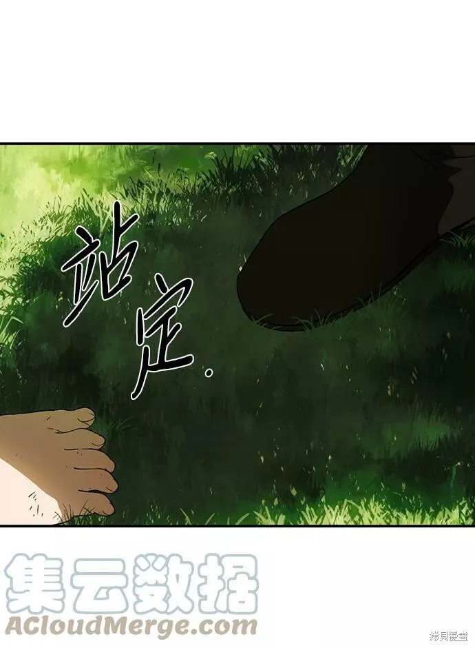68 第33页