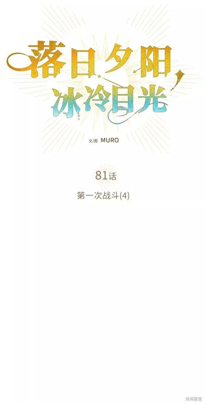 81 第29页