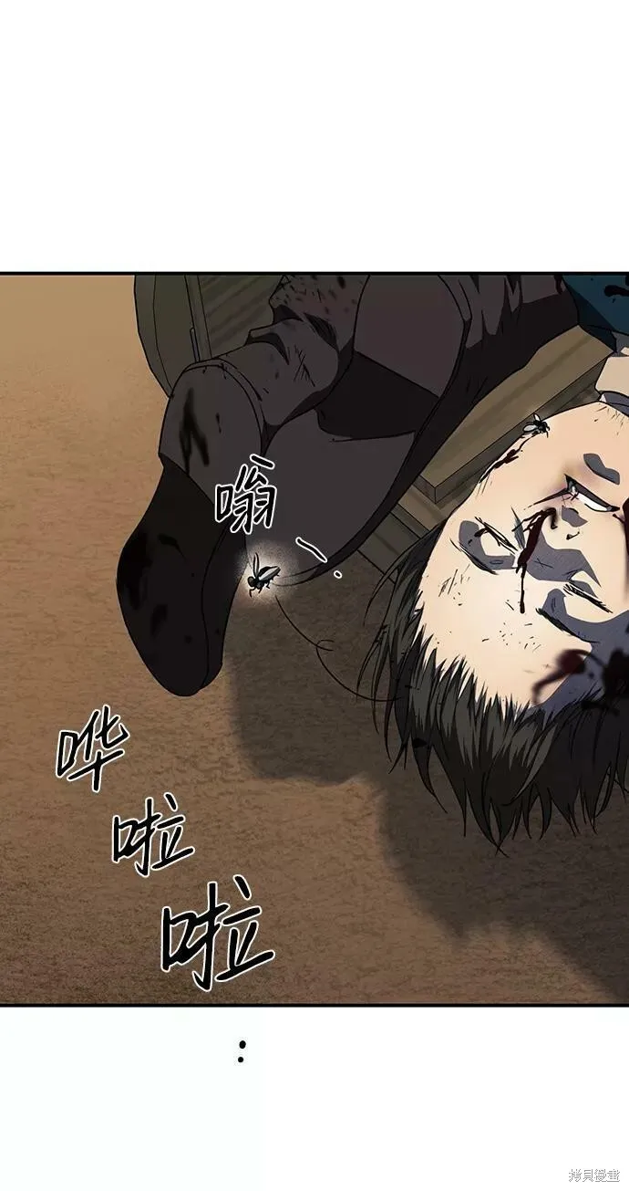 81 第31页