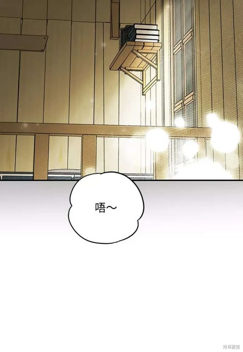 102 第68页