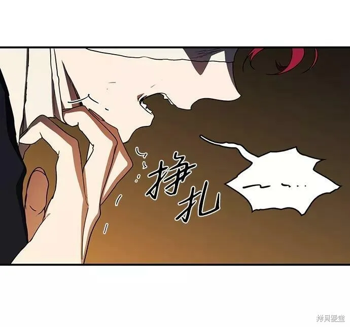 107 第17页