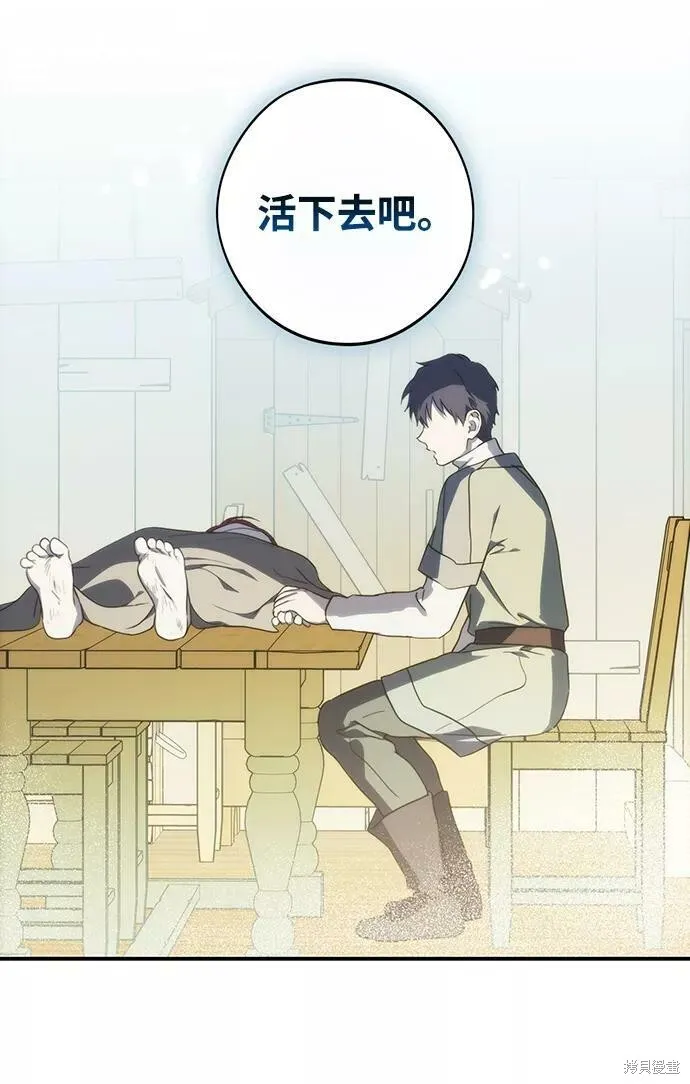 107 第77页