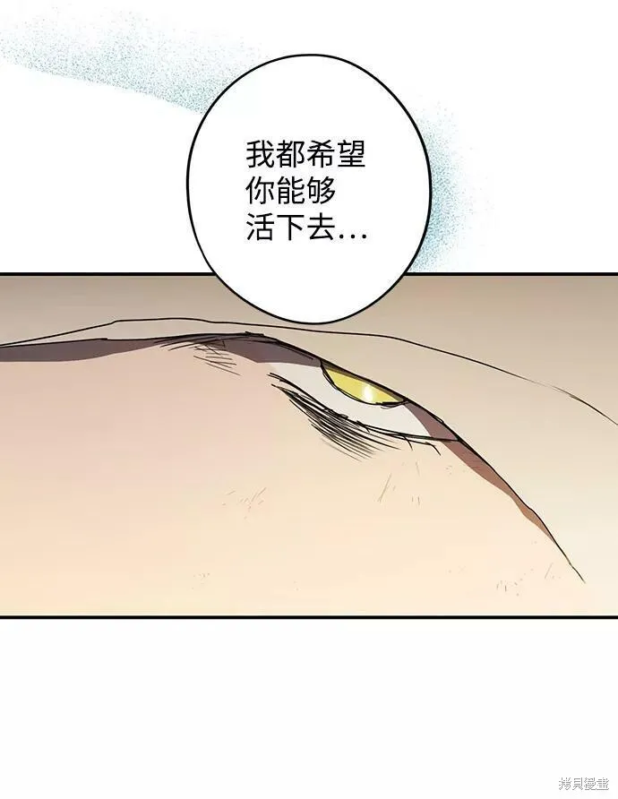 107 第81页