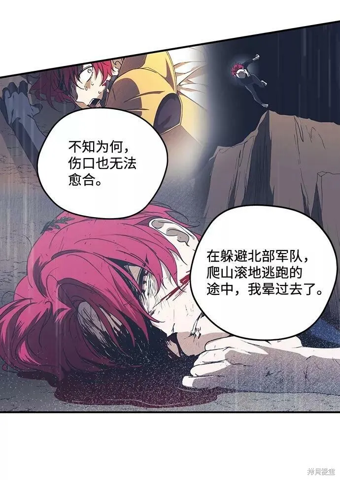 113 第8页