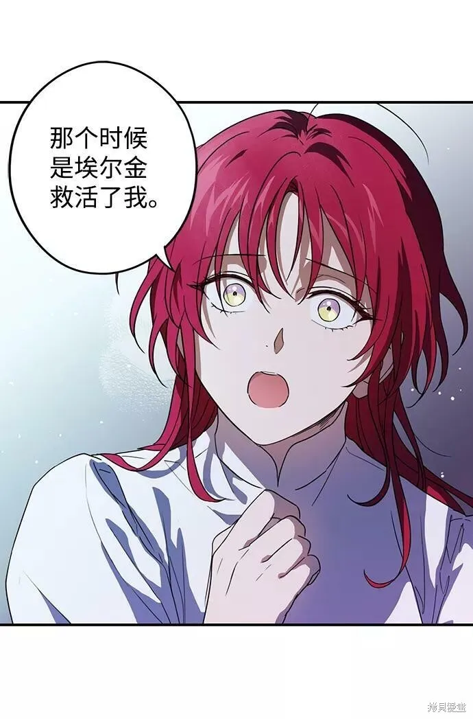 113 第11页