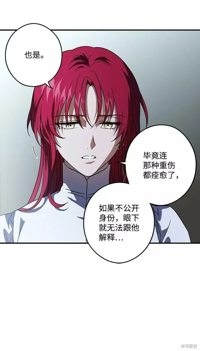 113 第17页