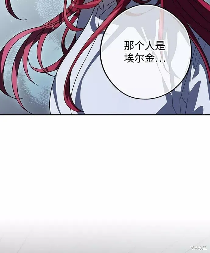 113 第19页