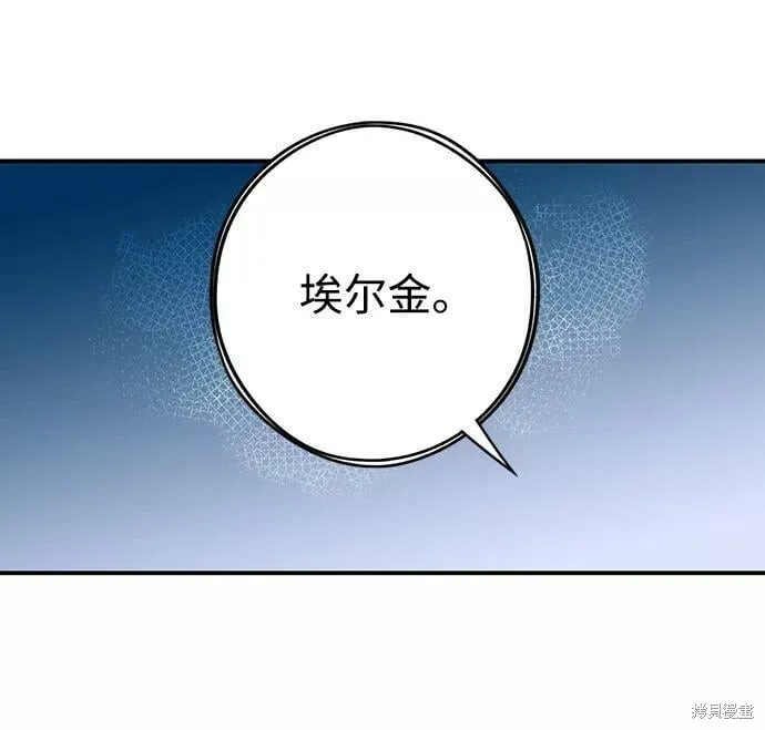 113 第25页