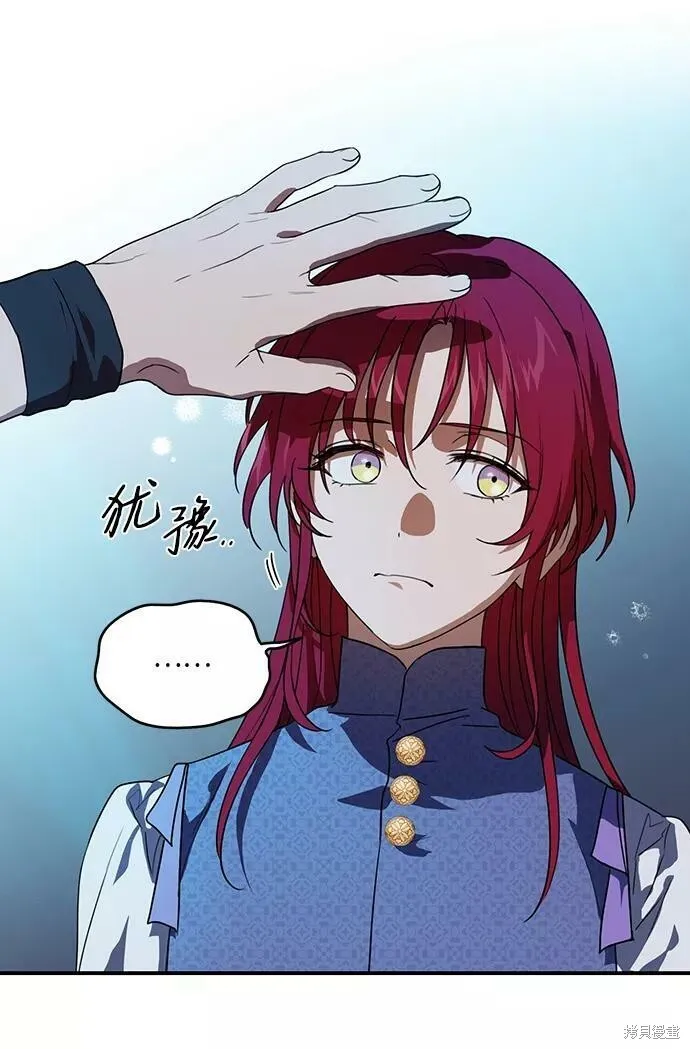 113 第31页