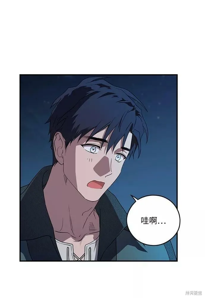 113 第35页
