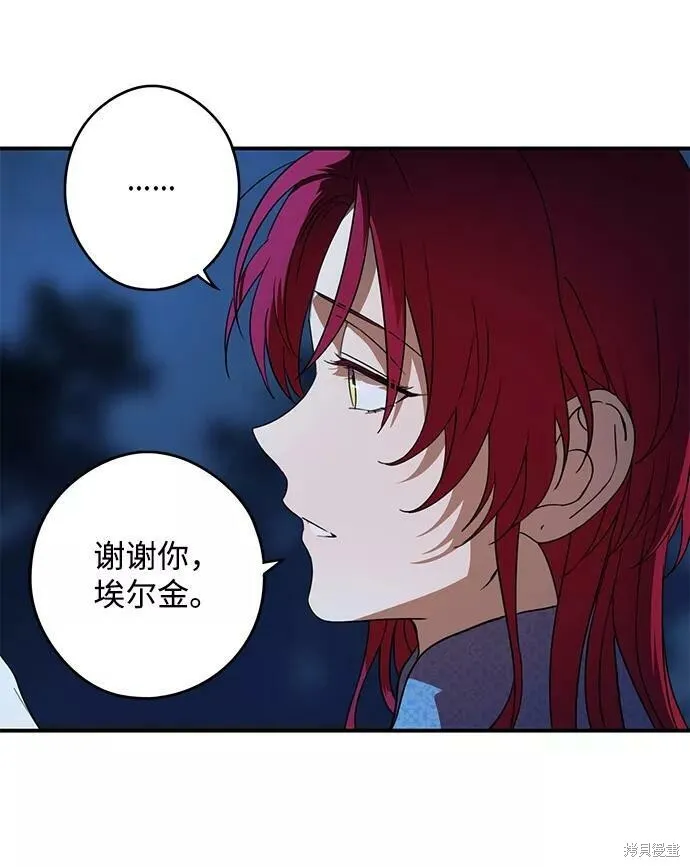 113 第41页