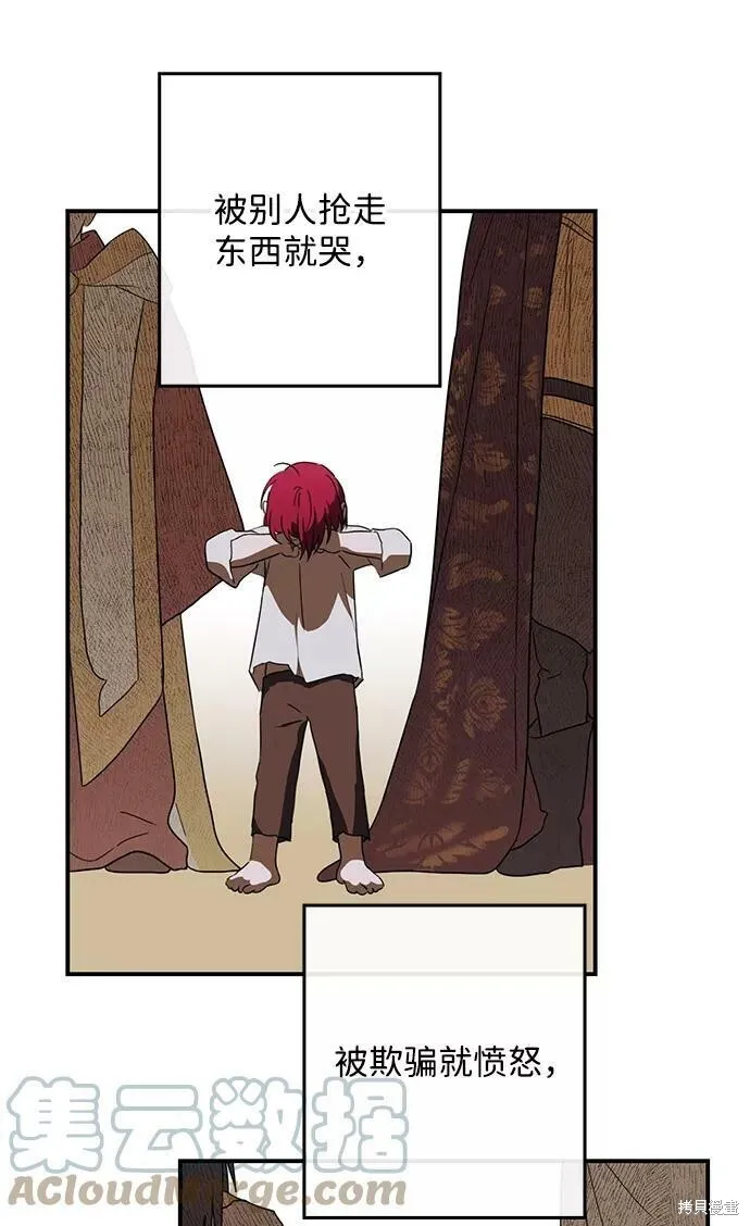 113 第48页