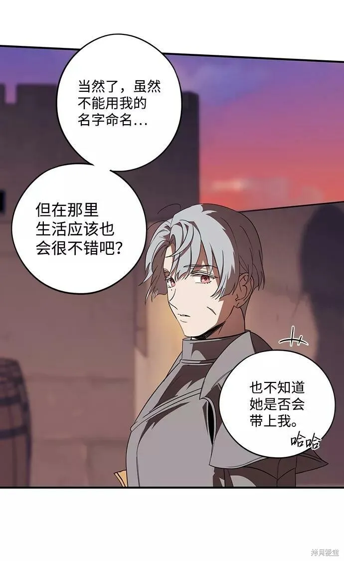 111 第17页