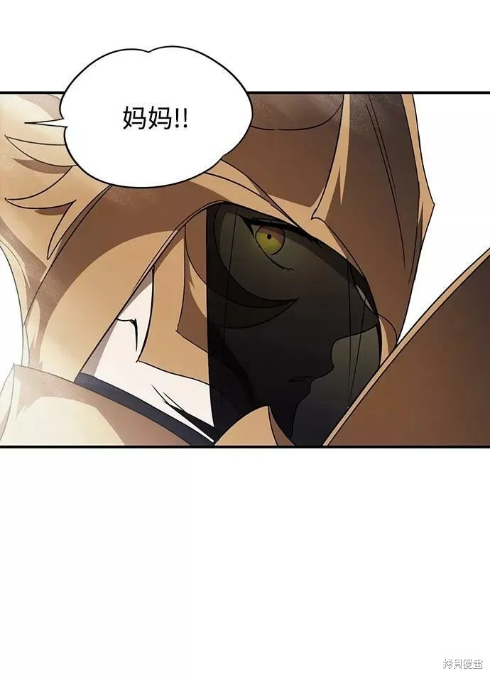 111 第71页