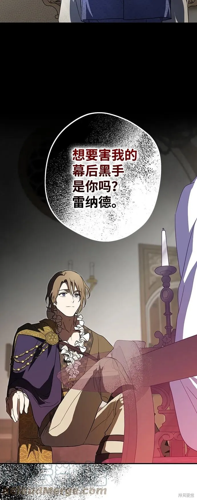 116 第33页
