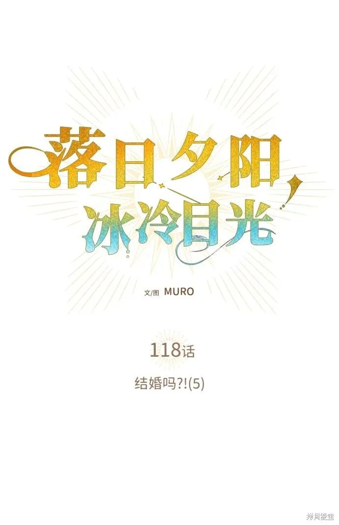 118 第8页