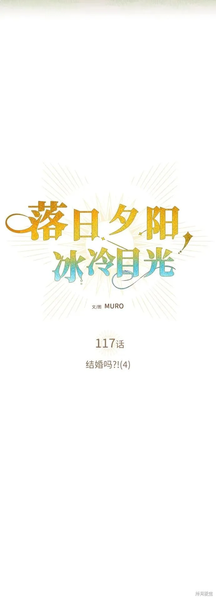 117 第5页