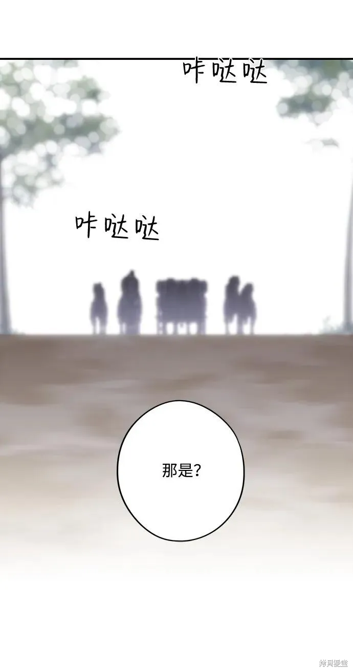 114 第50页