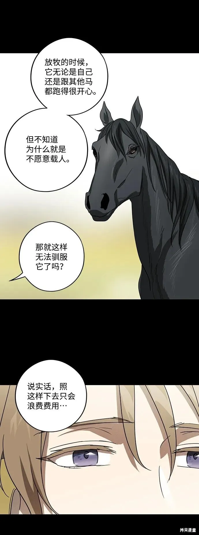 119 第43页