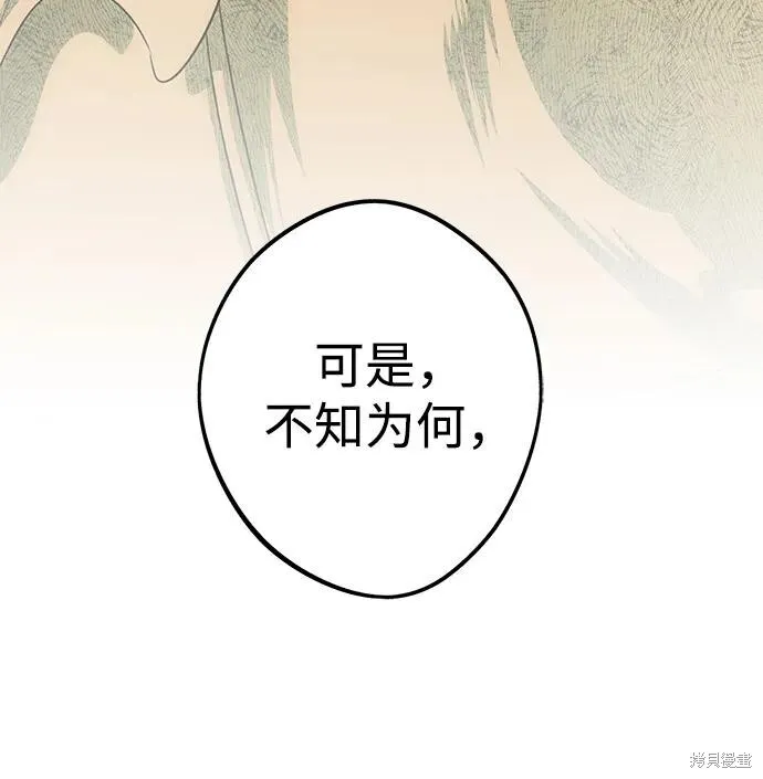 135 第31页