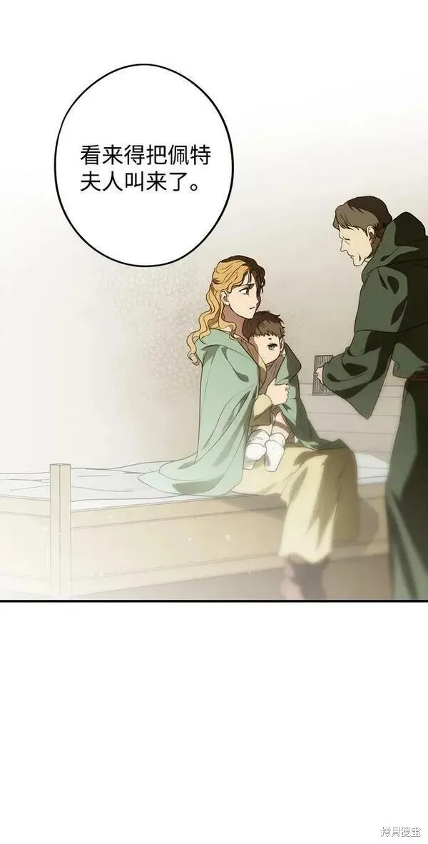 141 第55页