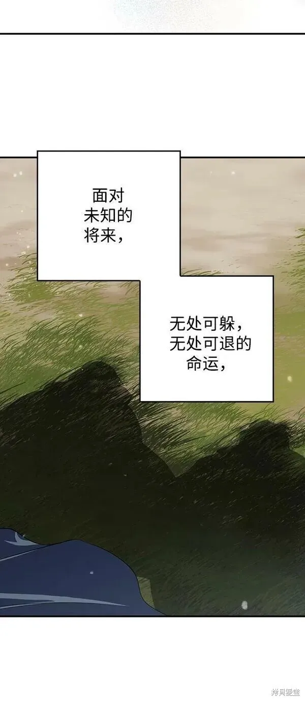 142 第91页