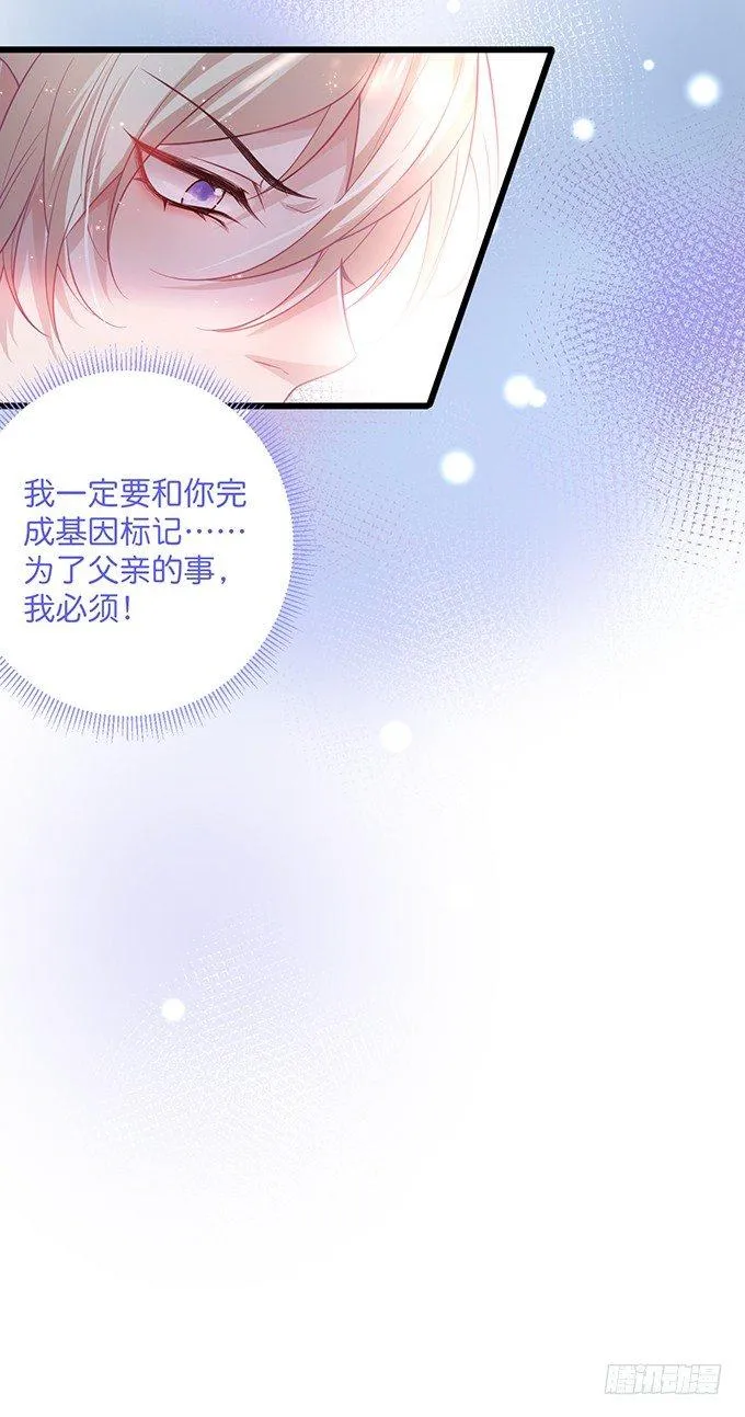 感受不到信息素的A 第67页