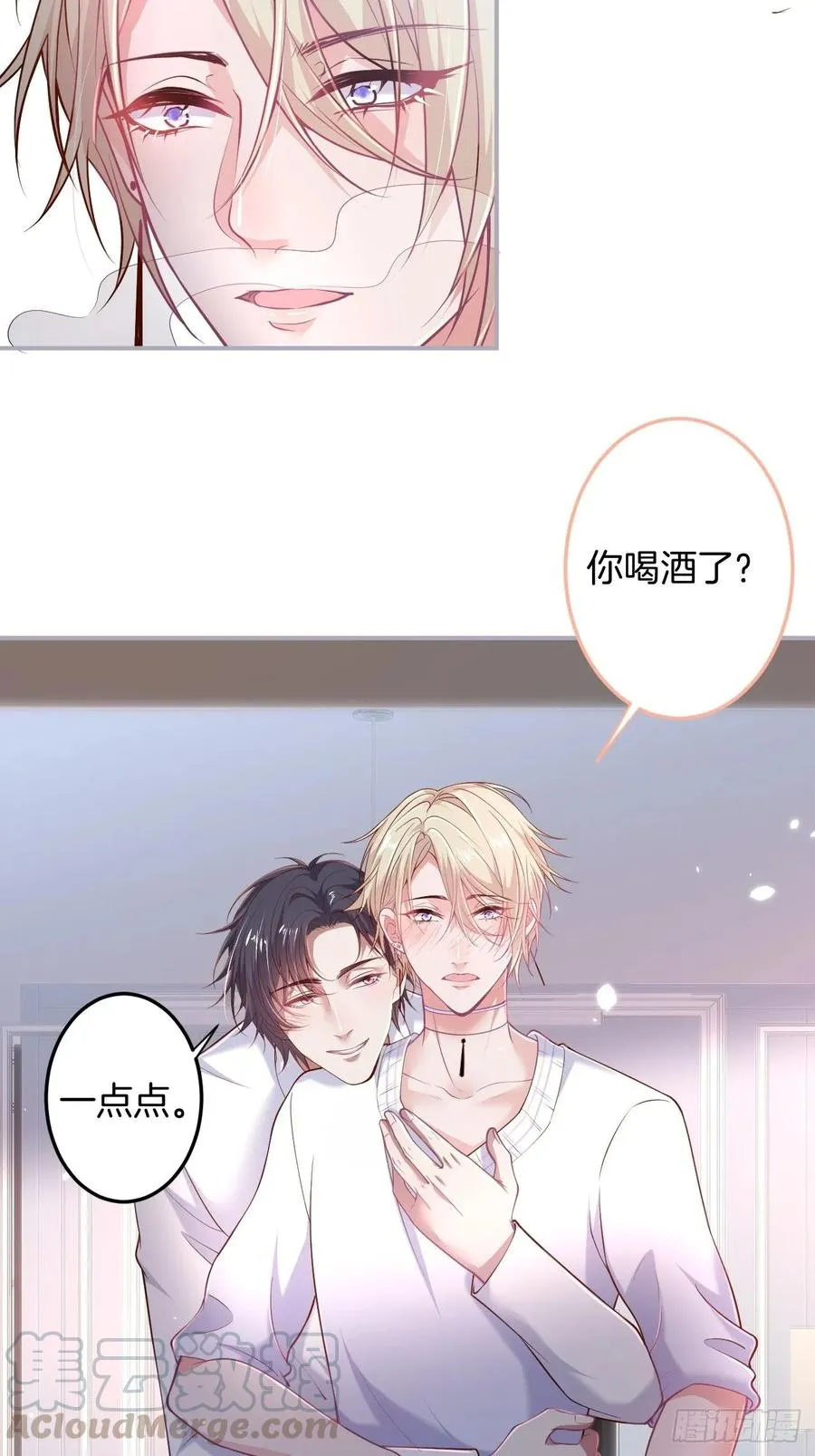 父母的爱情故事 第29页
