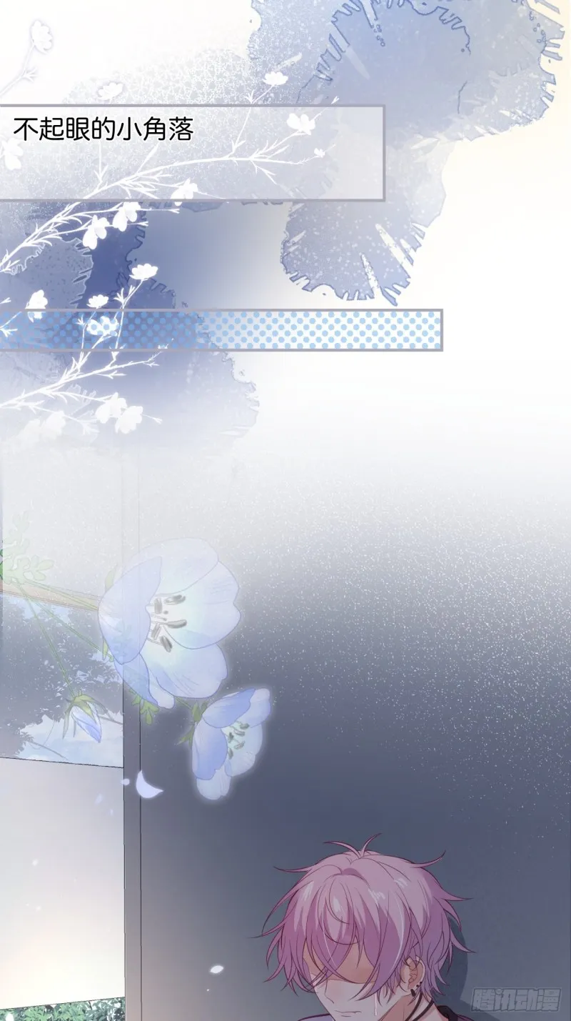打酱油的小花花~ 第24页