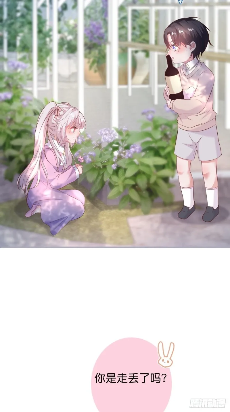 打酱油的小花花~ 第35页