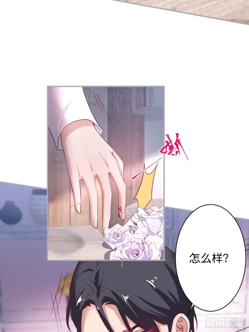 花花丢了，宁烨怒了！ 第5页