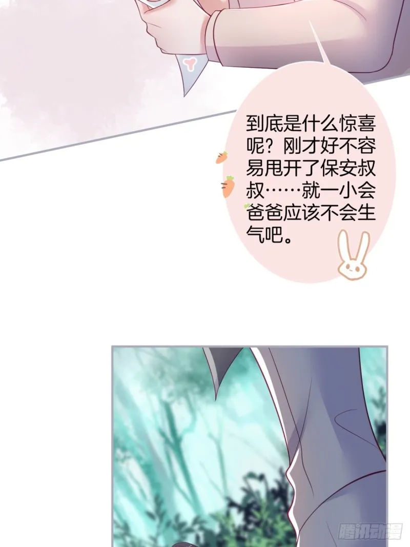 花花丢了，宁烨怒了！ 第13页