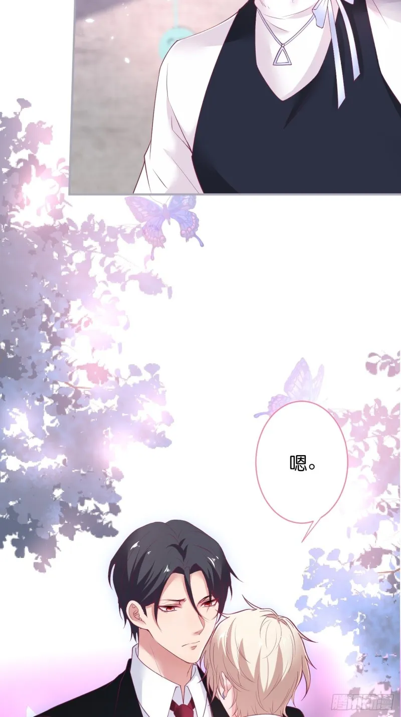 花花丢了，宁烨怒了！ 第25页
