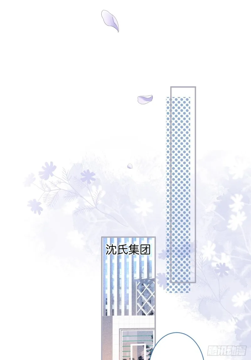 花花丢了，宁烨怒了！ 第27页