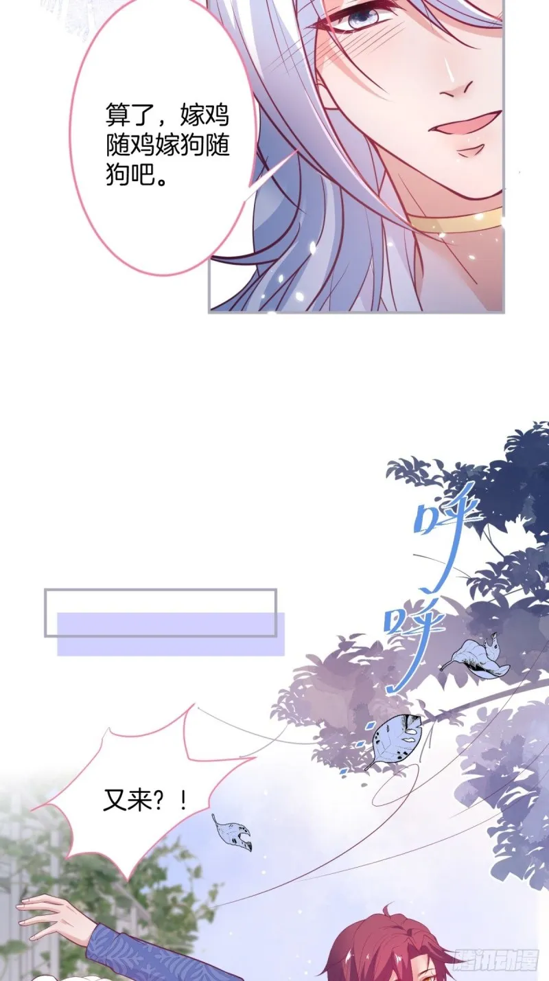 美人要不要骑“海豚”~ 第31页