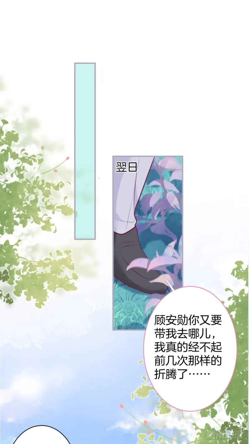 包甜！顾狗再次求婚！ 第12页