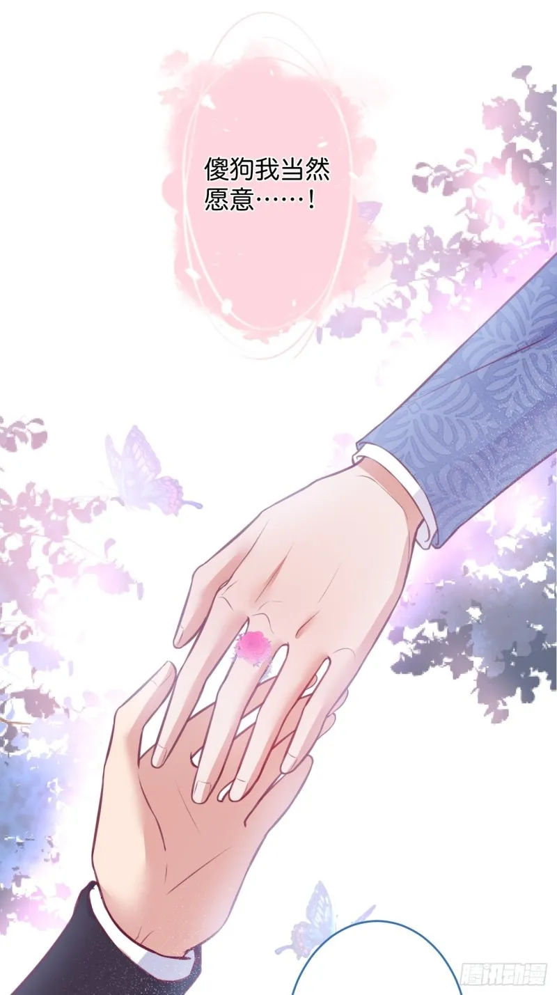 包甜！顾狗再次求婚！ 第27页