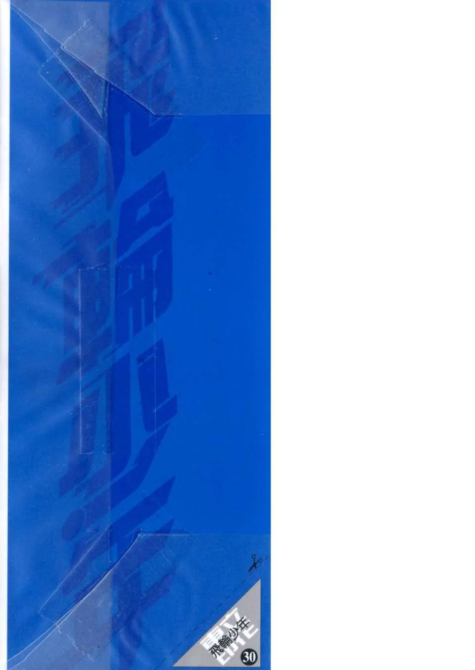 第30卷 第3页
