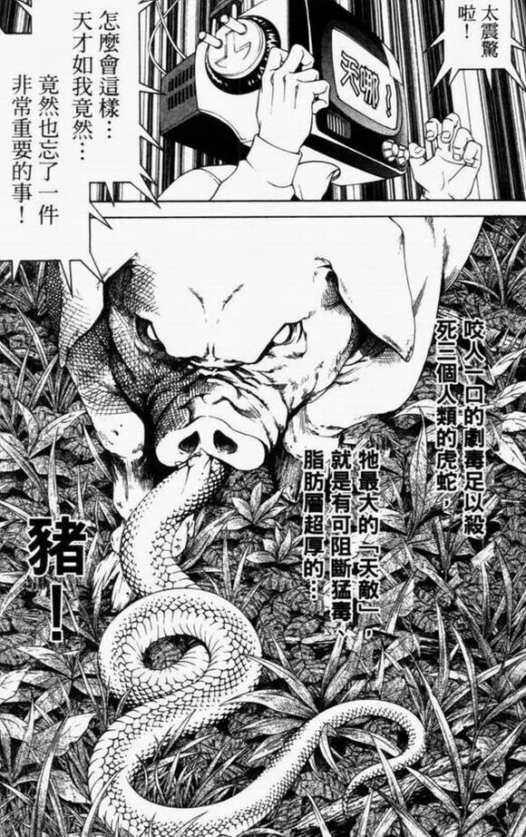 第8卷 第34页