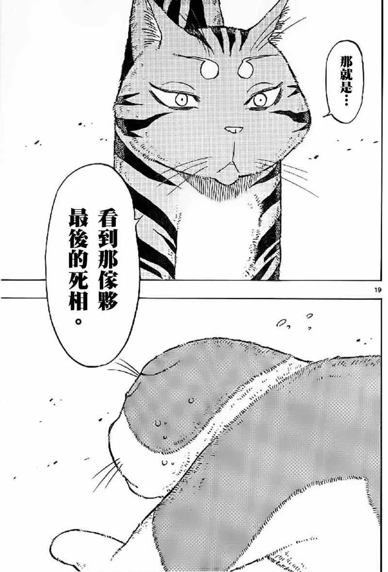 第17话 第19页