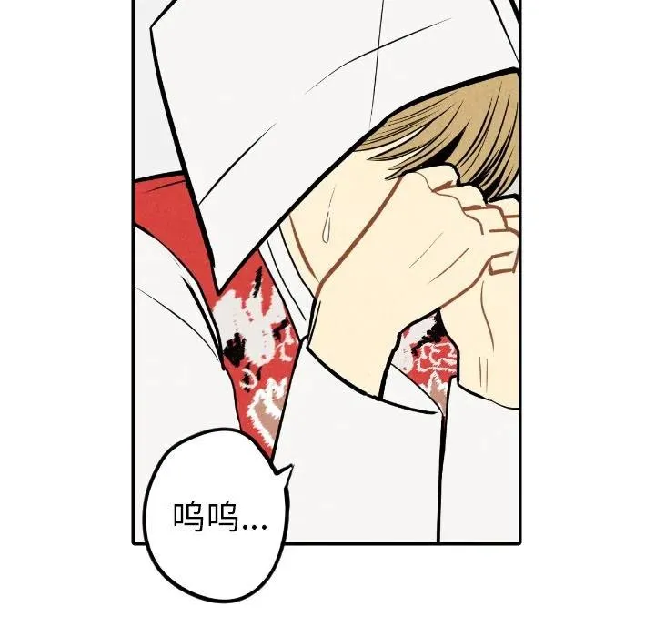 56 第11页