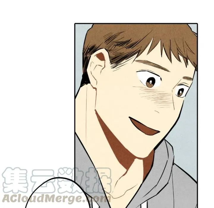 54 第25页