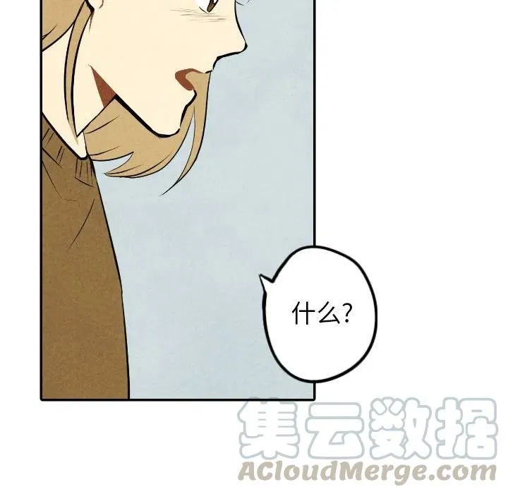 54 第41页