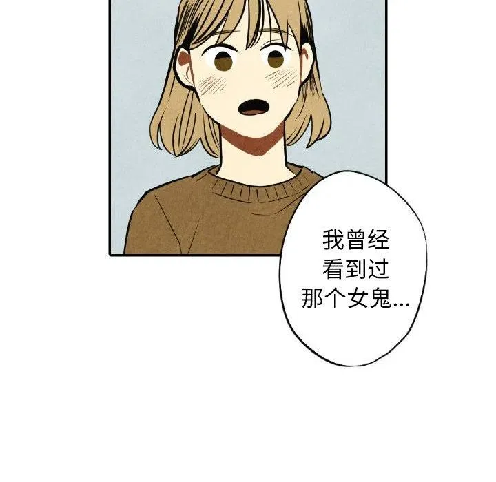 54 第48页