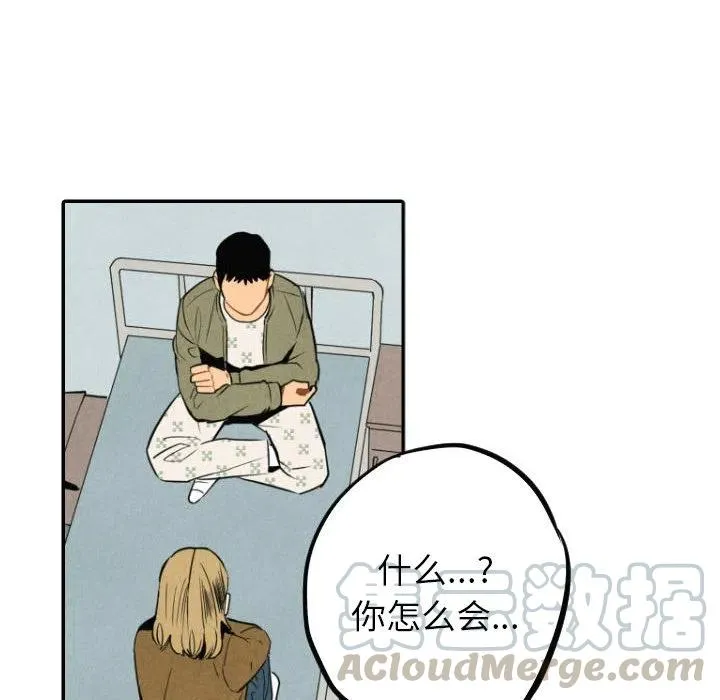 54 第49页
