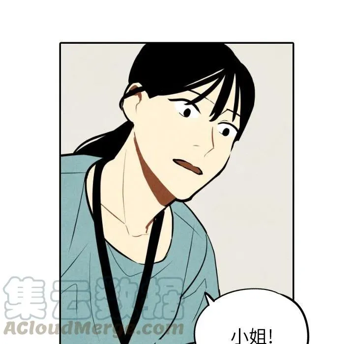 50 第13页
