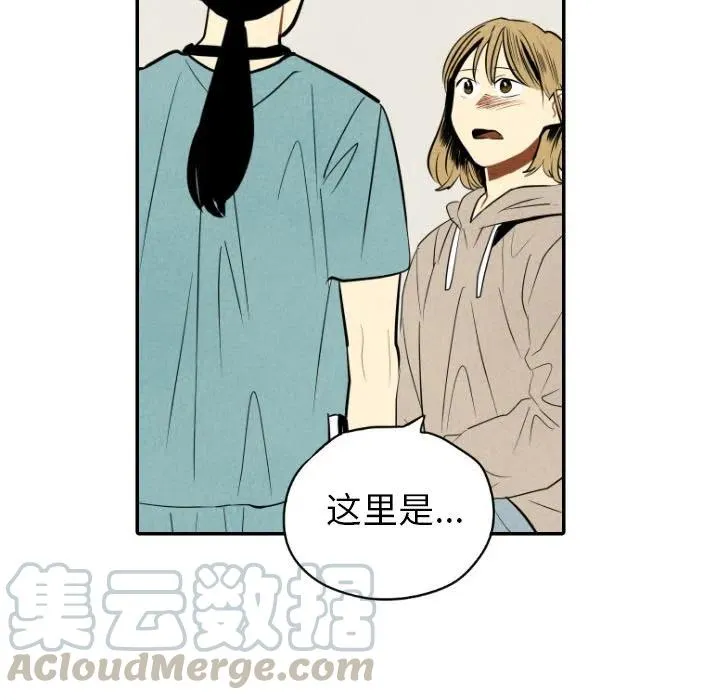 50 第17页