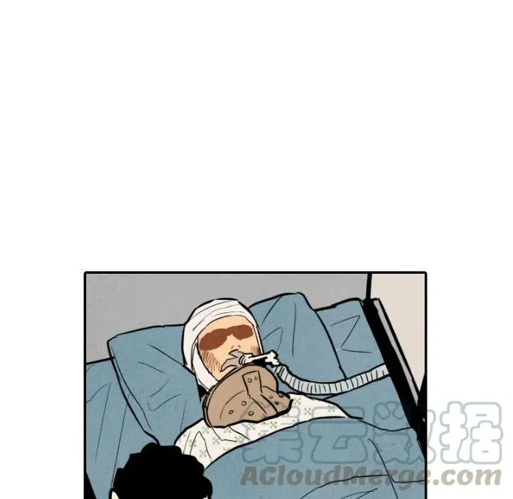 50 第33页