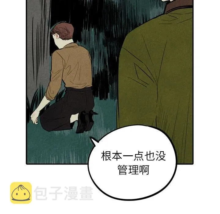 46 第43页