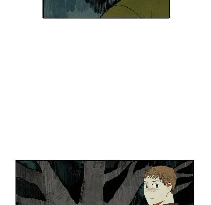 46 第56页